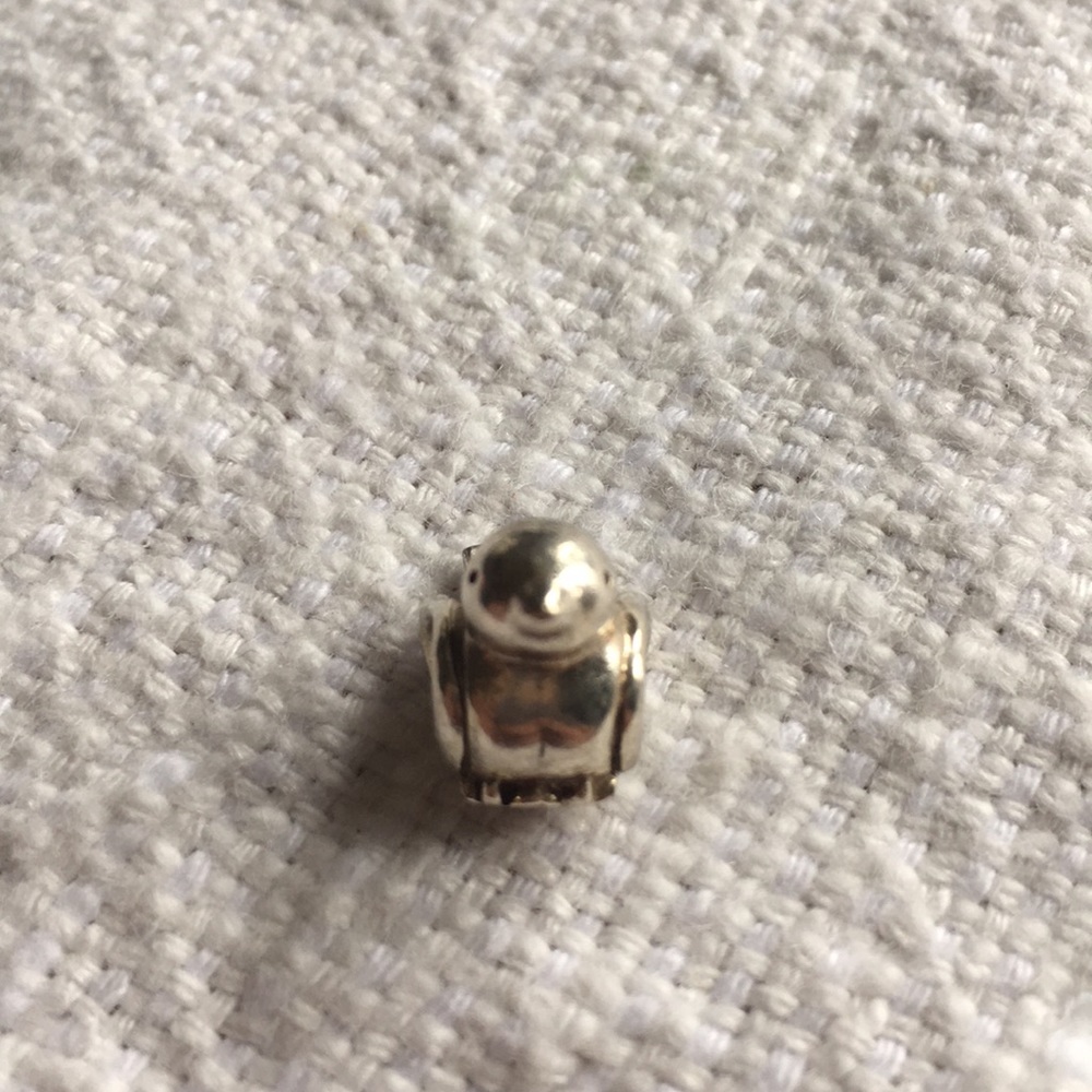 Bird pandora charm